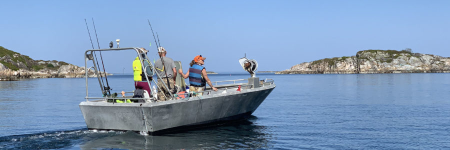 Welcome to Mausundglött!